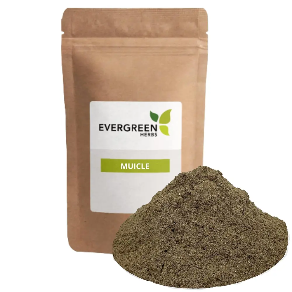 Evergreen Herbs Muicle Honeysuckle Powder