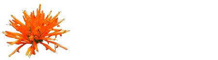 Logo Muicle